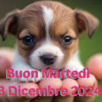 Immagini e Frasi del Buongiorno Buon Martedì 3 Dicembre 2024: Originali da Condividere via WhatsApp