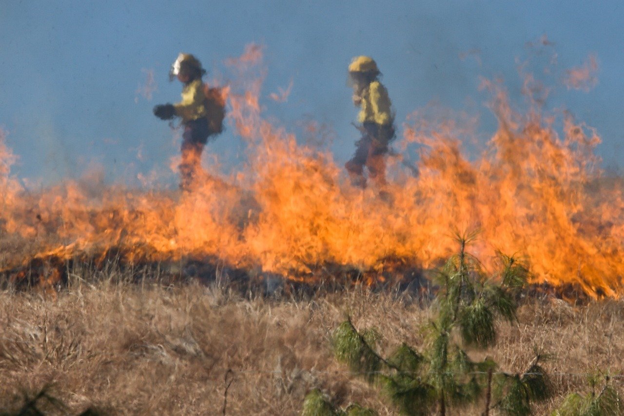 Incendio nell'oasi del Simeto a Catania