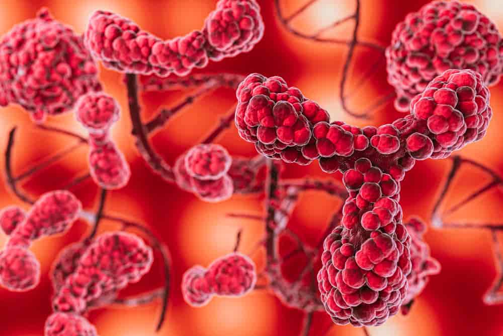 Rho: giornata aperta e screening gratuiti per combattere l'hpv