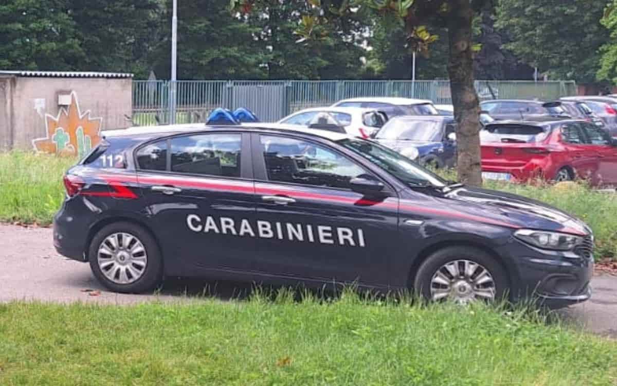 Il caso Vasilica Potincu