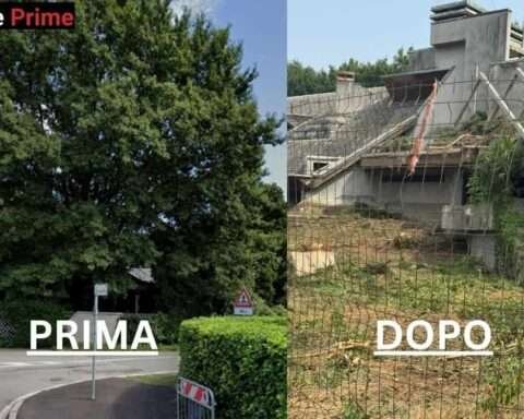 Inveruno: cittadini scioccati dalla demolizione e dal taglio degli alberi di Villa Belloli