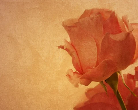 Abbiategrasso in lutto